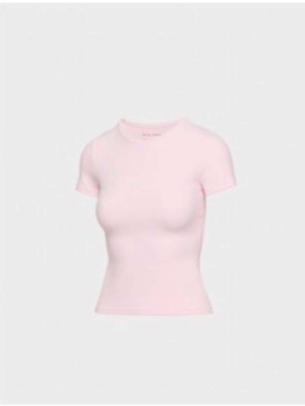 Aritzia Fitted T-Shirt – Like New